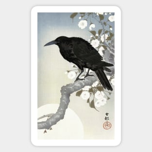 Crow and full moon Sticker